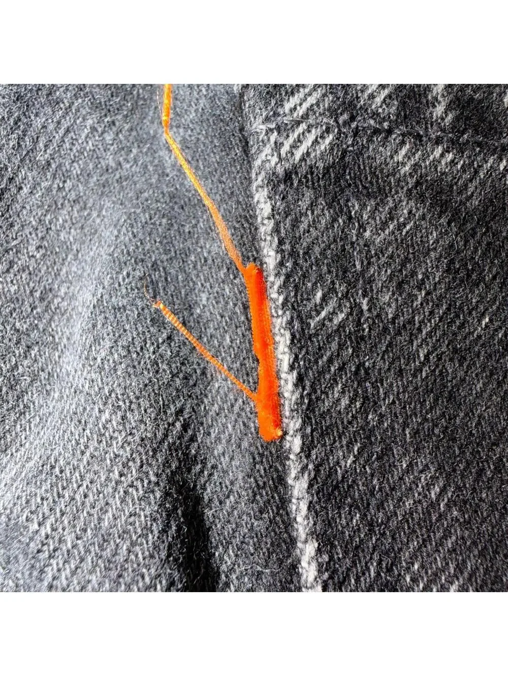 Levis thanks shopping